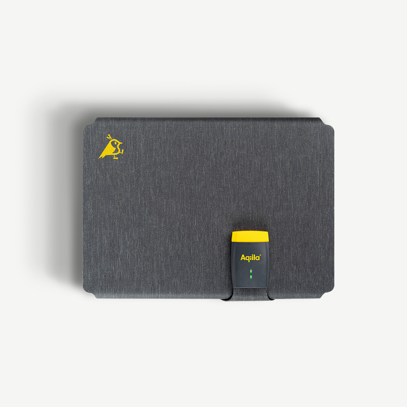 Sunbird P40 - Main-Shadow max